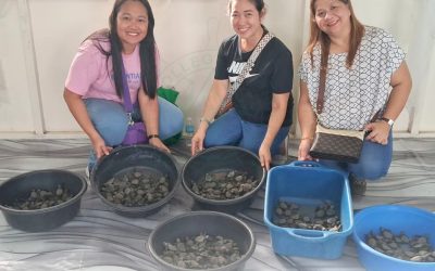 PAWIKan Project Team Supports 15th Pawikan Festival Through Community Engagement and Coastal Conservation Activities